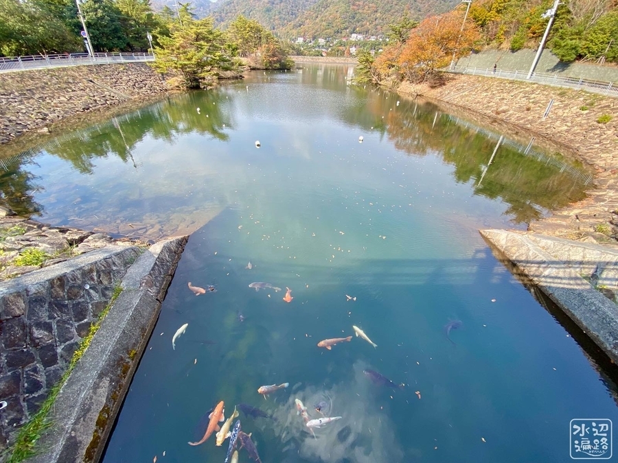 f:id:cippillo:20220221125502j:plain