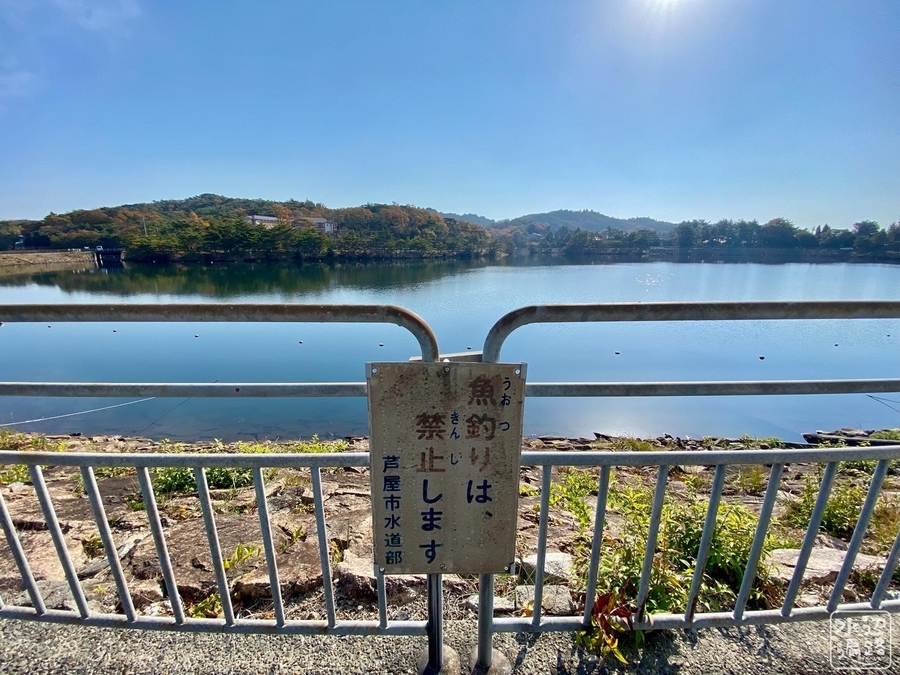 f:id:cippillo:20220221125518j:plain