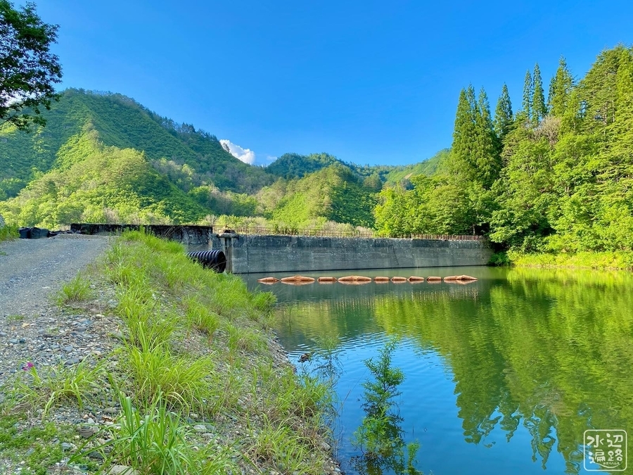 f:id:cippillo:20220222162701j:plain