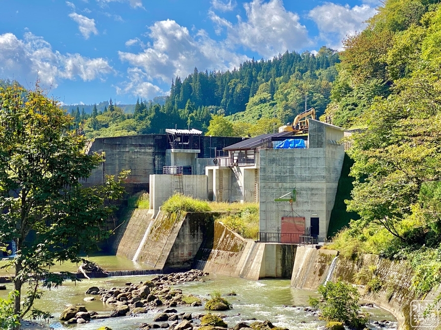 f:id:cippillo:20220222222524j:plain