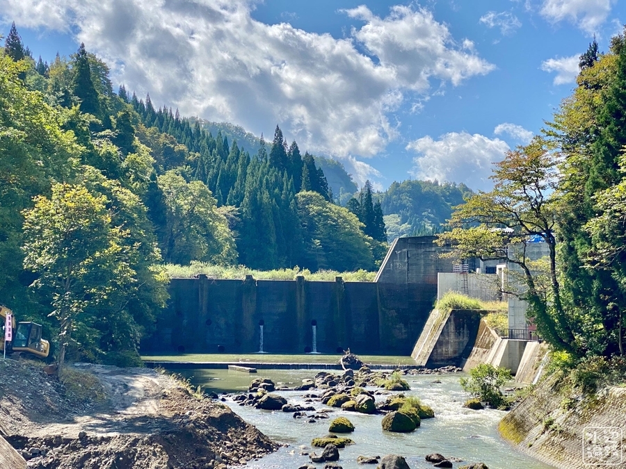 f:id:cippillo:20220222222541j:plain