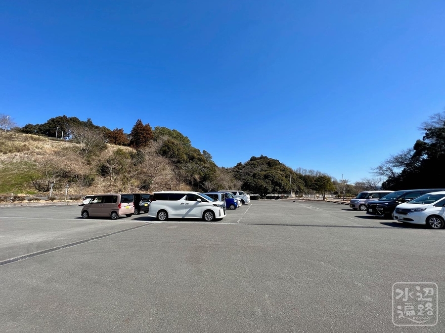 f:id:cippillo:20220226131711j:plain