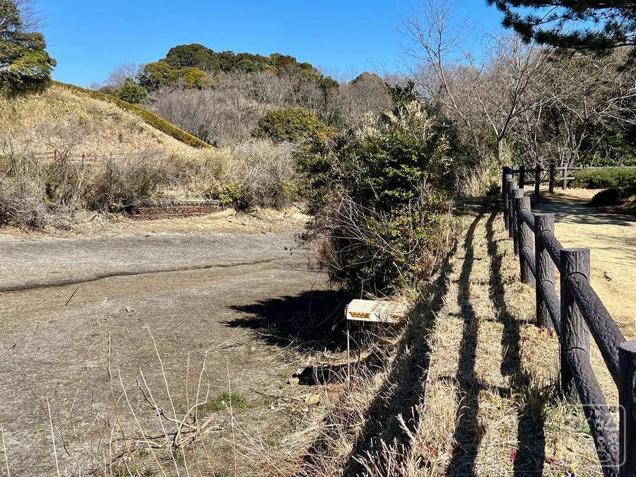 f:id:cippillo:20220226131725j:plain