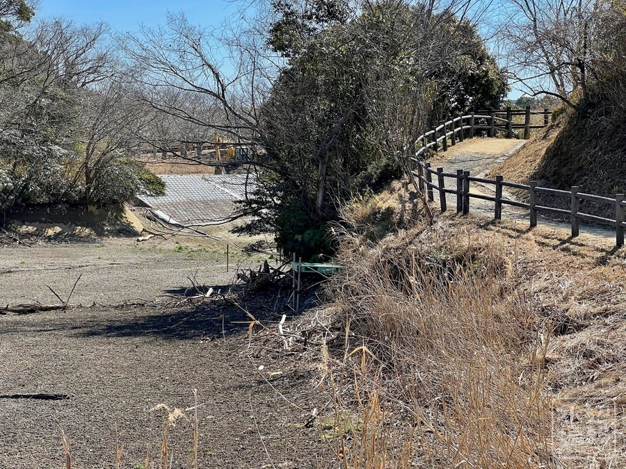 f:id:cippillo:20220226131753j:plain