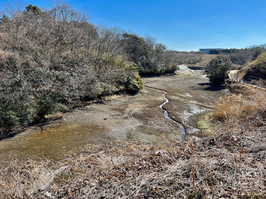 f:id:cippillo:20220226131805j:plain