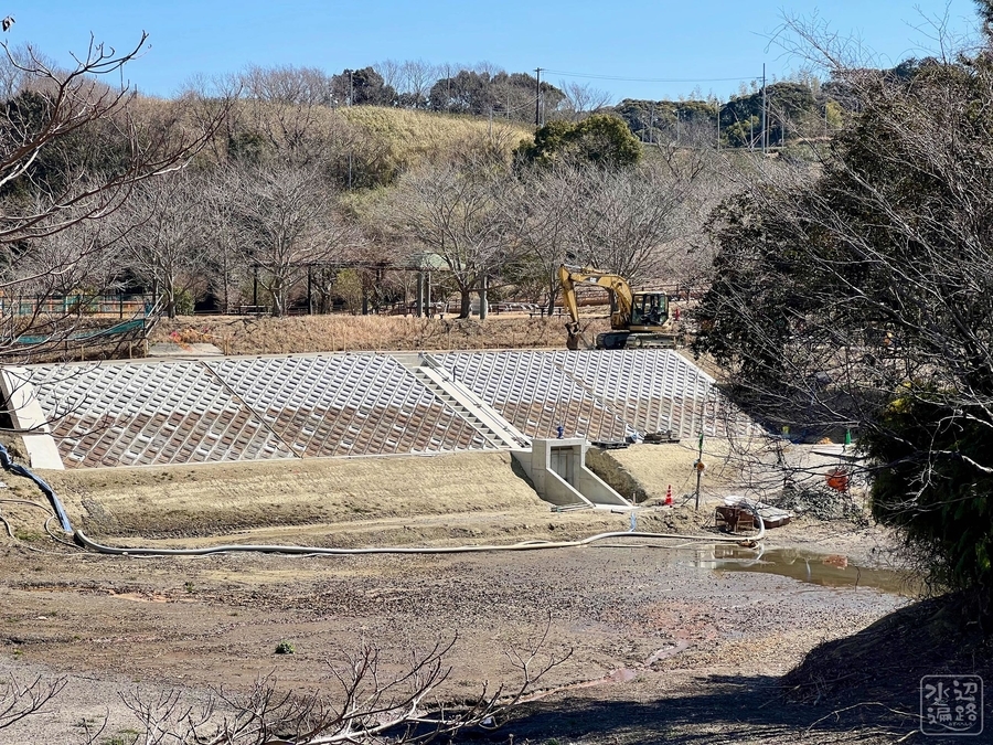 f:id:cippillo:20220226131912j:plain