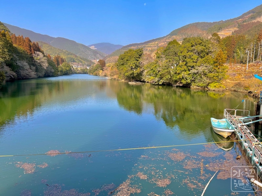 f:id:cippillo:20220312051248j:plain