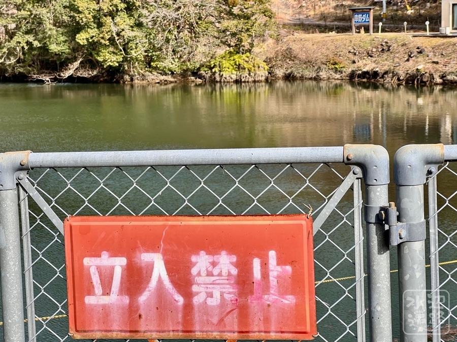 f:id:cippillo:20220312051316j:plain