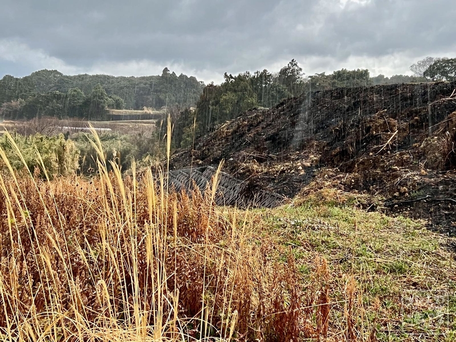 f:id:cippillo:20220313214439j:plain