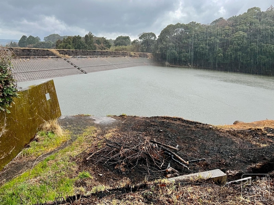 f:id:cippillo:20220313214445j:plain