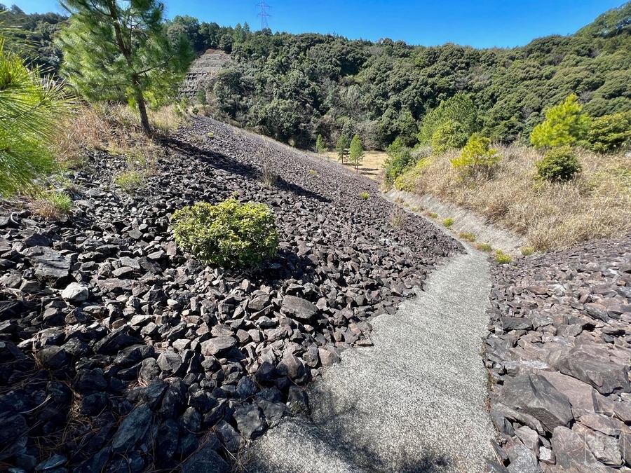 f:id:cippillo:20220321071427j:plain