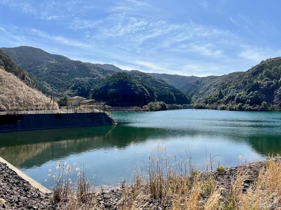 f:id:cippillo:20220321071434j:plain