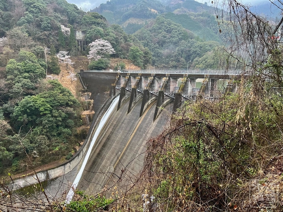 f:id:cippillo:20220324032441j:plain