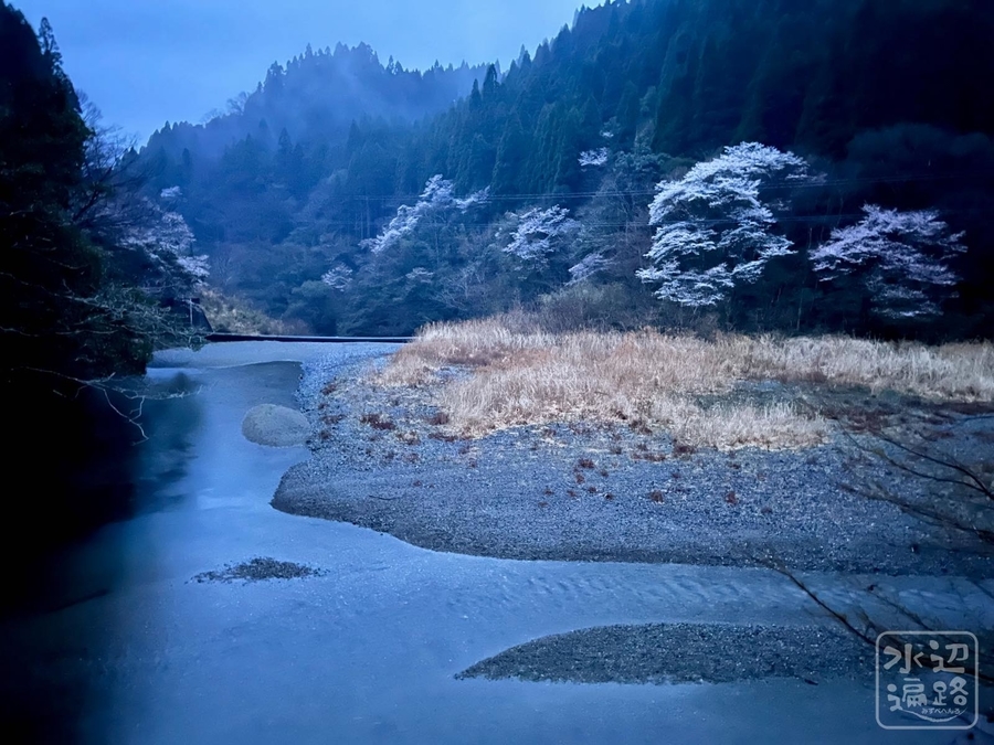 f:id:cippillo:20220325034728j:plain