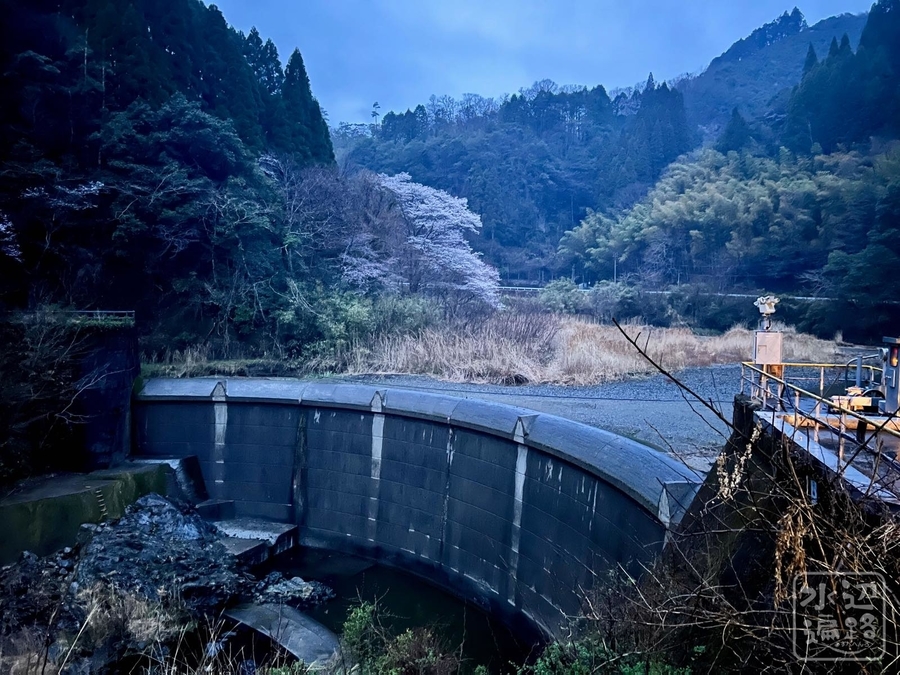 f:id:cippillo:20220325034732j:plain