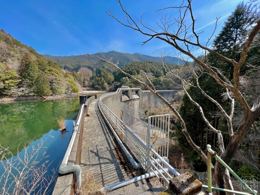 f:id:cippillo:20220327193850j:plain