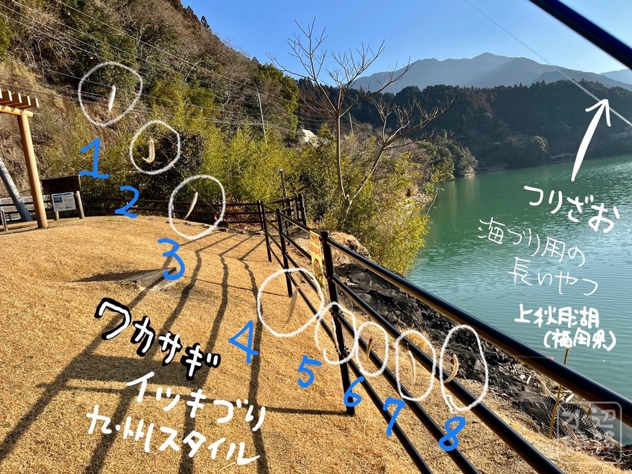【値下げ】湖月わたる 4550133169809_1.jpg