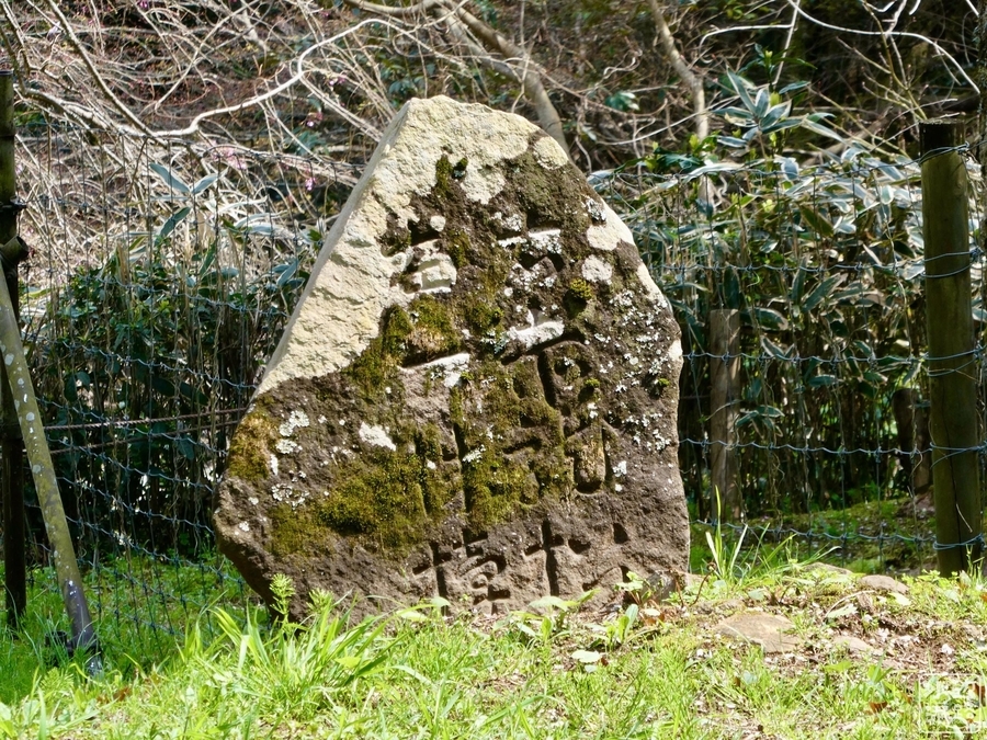 f:id:cippillo:20220414103707j:plain