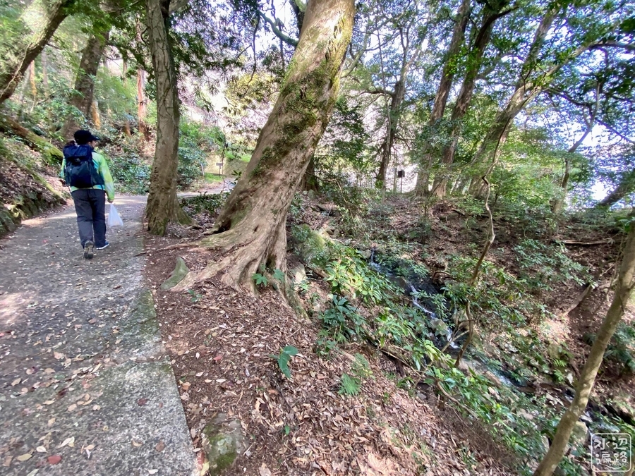 f:id:cippillo:20220414103816j:plain