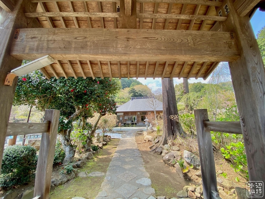 f:id:cippillo:20220414103924j:plain