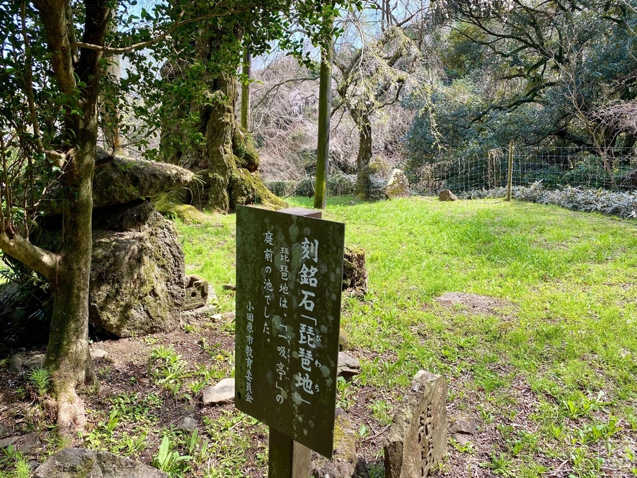 f:id:cippillo:20220414104029j:plain