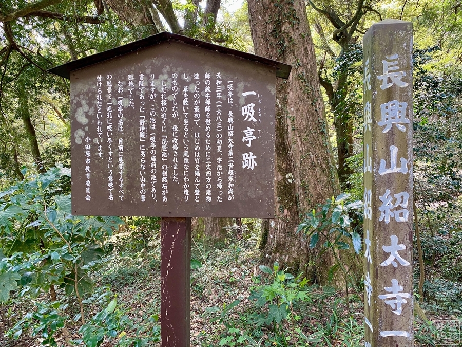 f:id:cippillo:20220414104123j:plain