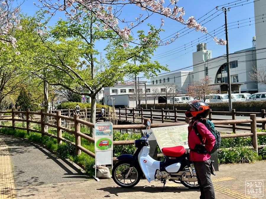 f:id:cippillo:20220415092908j:plain