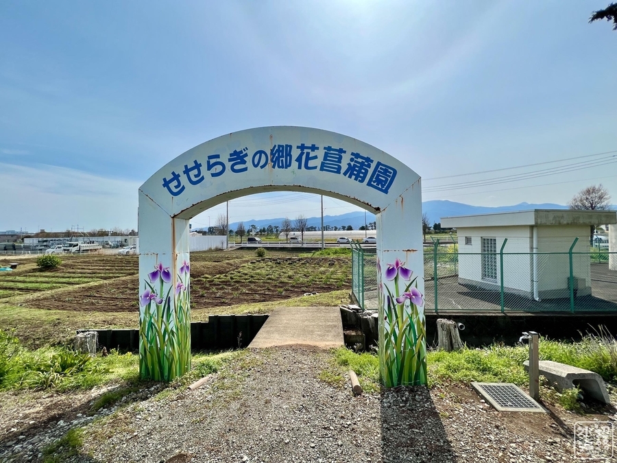 f:id:cippillo:20220415232003j:plain