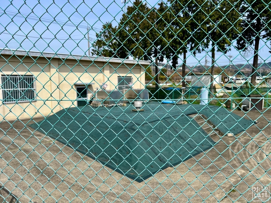 f:id:cippillo:20220415232017j:plain