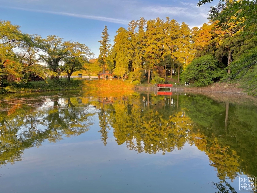 新井八幡池（群馬県榛東） - 水辺遍路