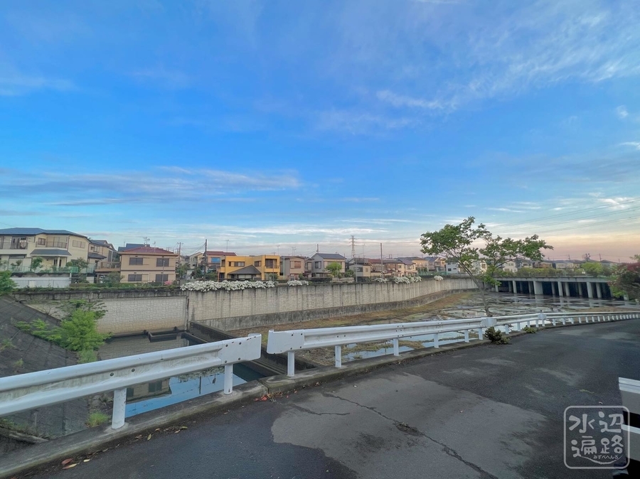 習志野台第１調整池 千葉県船橋 水辺遍路