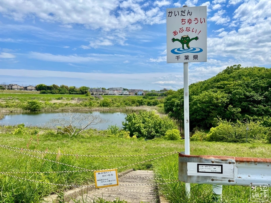 都川防災調整池（千葉県千葉） - 水辺遍路