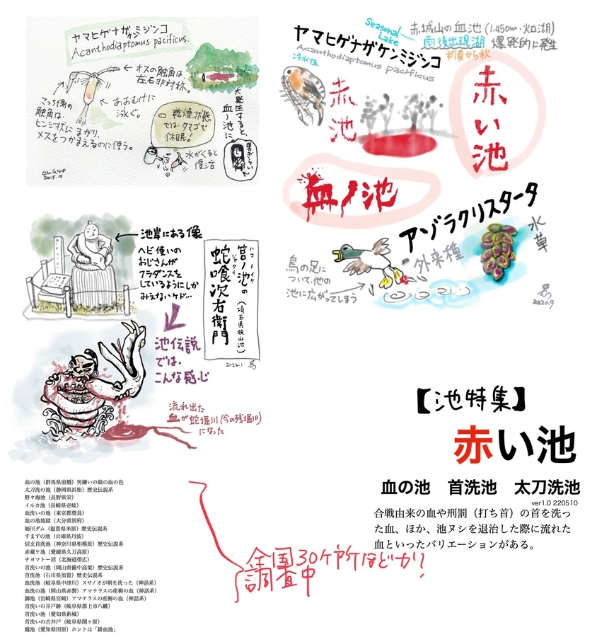 燧池 愛知県田原 水辺遍路