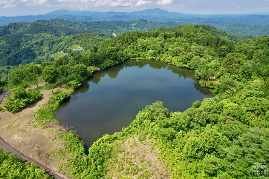 鼻毛の池 新潟県上越 水辺遍路