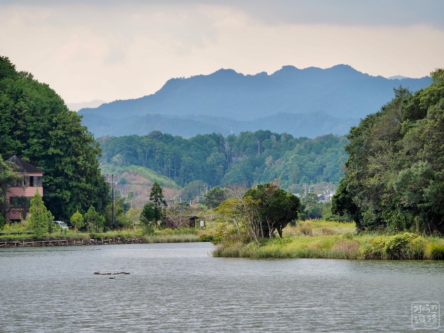 海老ヶ池（徳島県海陽） - 水辺遍路