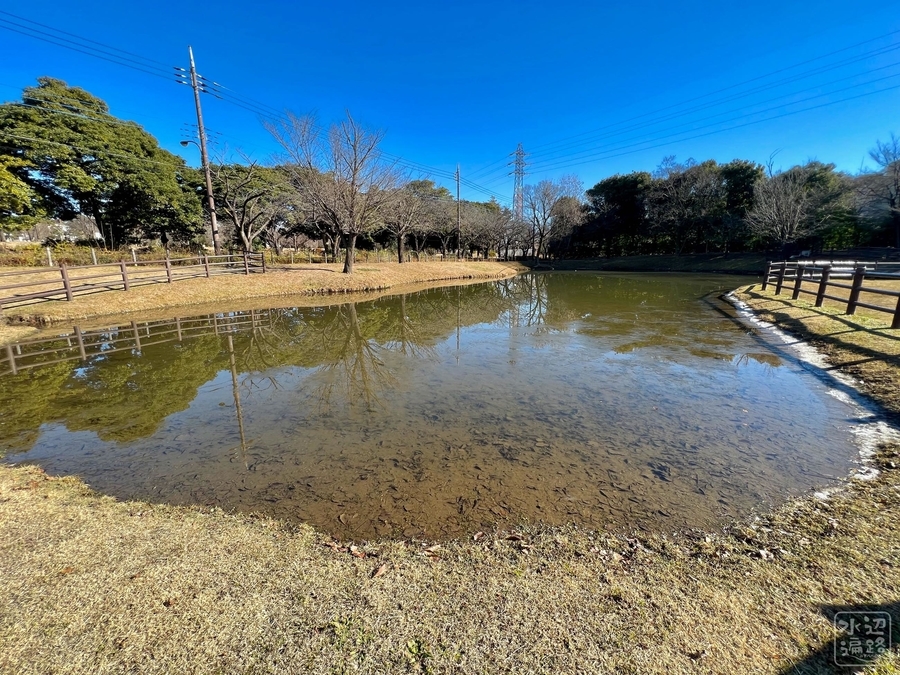 大泉さくら運動公園の池（東京都練馬） - 水辺遍路