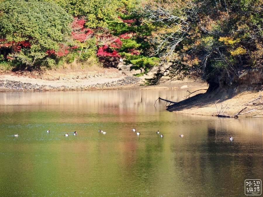 田尻大池(岡山県和気) 水辺遍路
