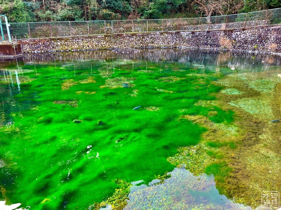 清左衛門地獄池（神奈川県南足柄） - 水辺遍路