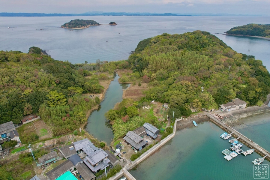沖之島（沖島）の池（仮称）（香川県沖之島） 水辺遍路