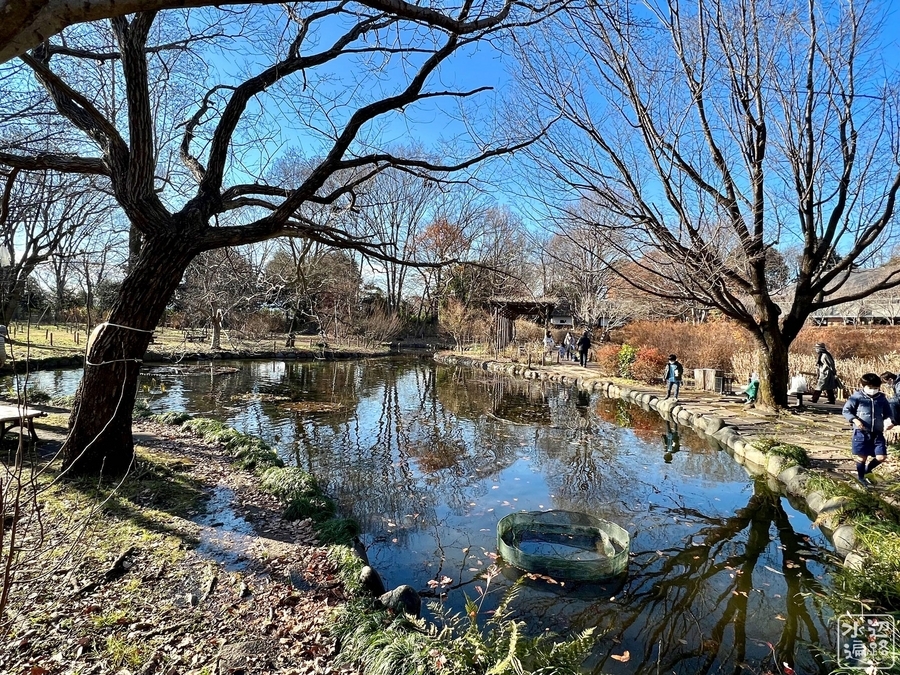 当時のメディア報道・掲載写真