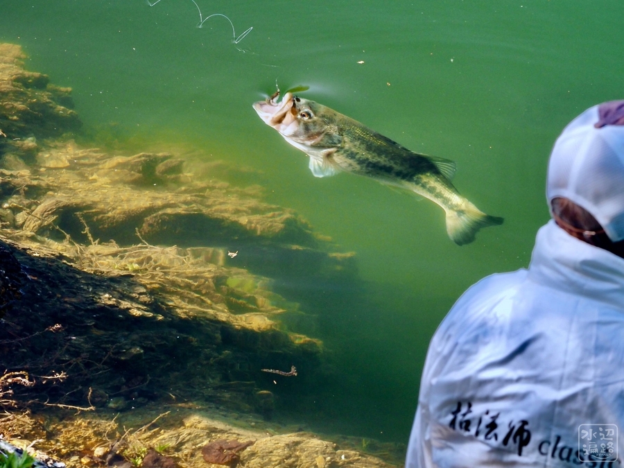 津風呂湖（奈良県吉野） - 水辺遍路