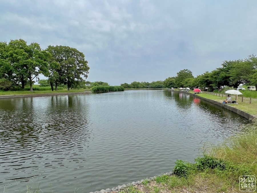 群馬の水郷（群馬県館林） - 水辺遍路