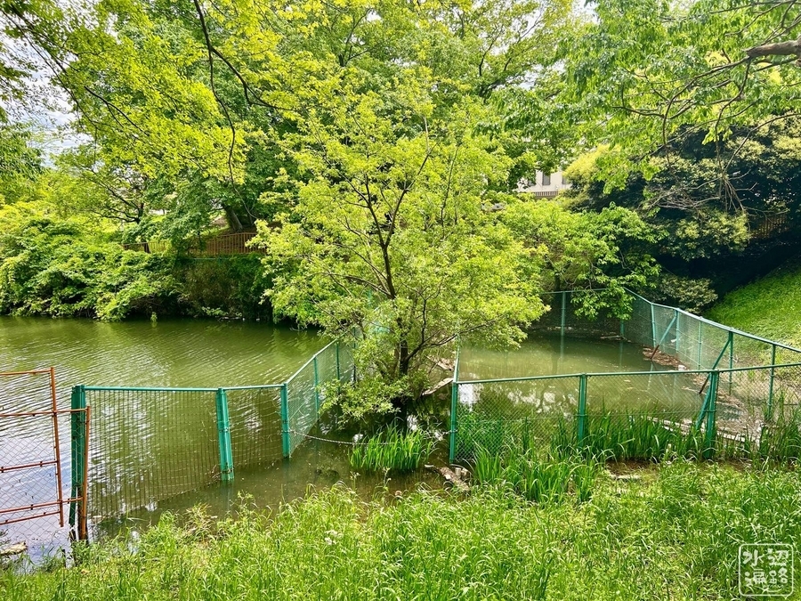 御成公園東池（中池）・西池（深池）（千葉県千葉） - 水辺遍路