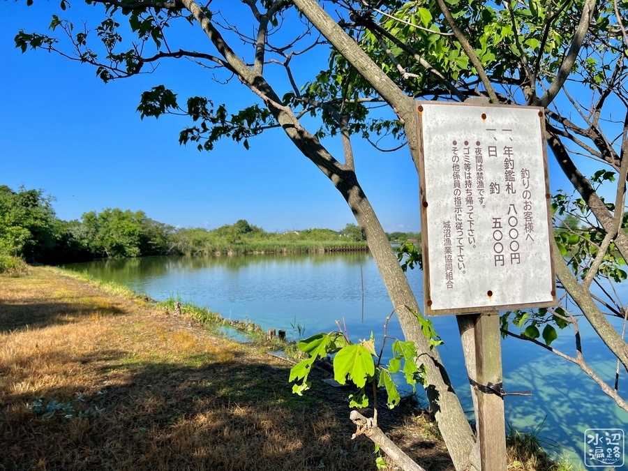 古城沼(群馬県館林) 水辺遍路