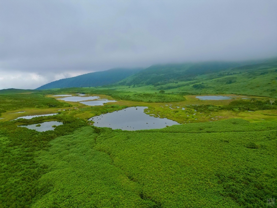 大雪山「沼の平」六ノ沼・五ノ沼・半月沼（北海道上川） - 水辺遍路