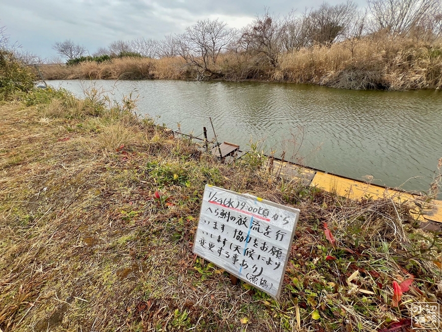 ひょうたん池（神奈川県寒川） - 水辺遍路