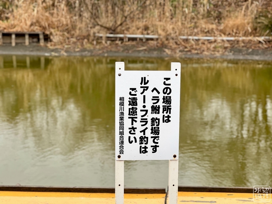直接引取限定　ひょうたん池 ひょうたん池（神奈川県寒川） - 水辺遍路