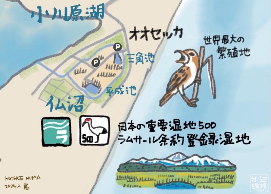 仏沼（三角池・平成池）（青森県三沢） - 水辺遍路