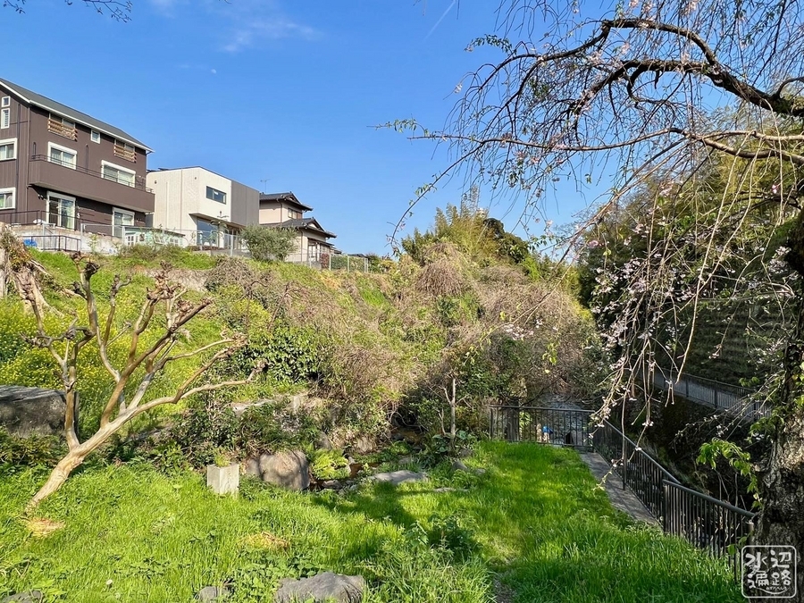 えびどう池・原田雨水貯留池(静岡県富士) 水辺遍路