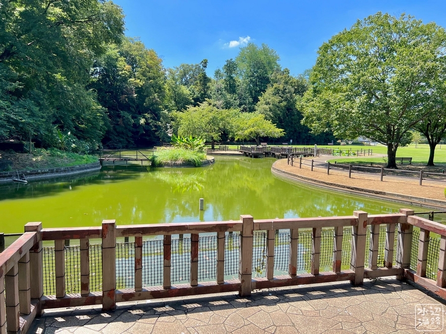 川口市立グリーンセンター「白鳥の池」（埼玉県川口） - 水辺遍路